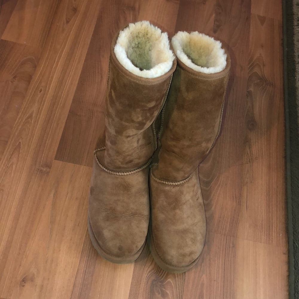 Tall chestnut Uggs